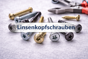 Linsenkopfschrauben