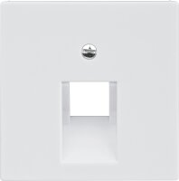 Zentralplatte JUNG A569-1PLUAWW für UAE Dosen...