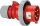 CEE-Stecker Shark IP67 230V, 32A Schraubanschluss