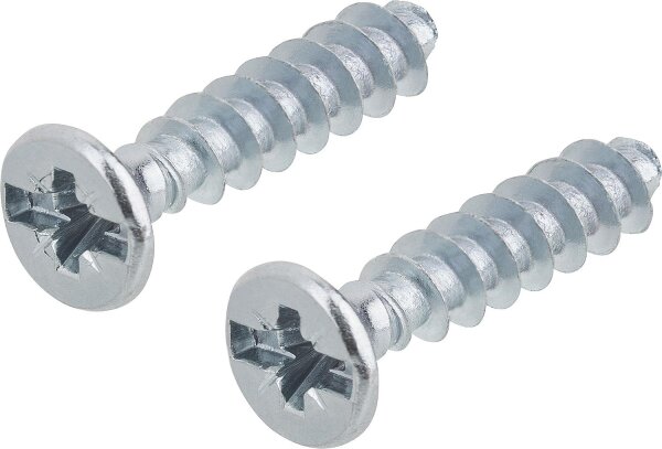 Geräteschrauben 3,2 x 15mm mit Kombi-Kreuzschlitz VPE=100 Stück