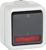 AP-Kontrollschalter PEHA IP44, grau, Ausschalter D622 WAB...