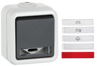 AP-Taster PEHA IP44,1-poliert, grau D 655 WAB (VPE 10)