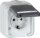 AP-Steckdose 1-fach PEHA IP44, Schuko, Beschriftung, grau D 6620 WAB NA