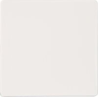 Wippe neutral/ titanweiß 55 mm x 55 mm Schutzart...