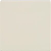 Wippe neutral/ titanweiß 55 mm x 55 mm Schutzart...