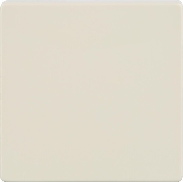 Wippe neutral/ elektroweiß 55 mm x 55 mm Schutzart IP20 / 1 Stück