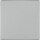 Wippe neutral/ elektroweiß 55 mm x 55 mm Schutzart IP20 / 1 Stück