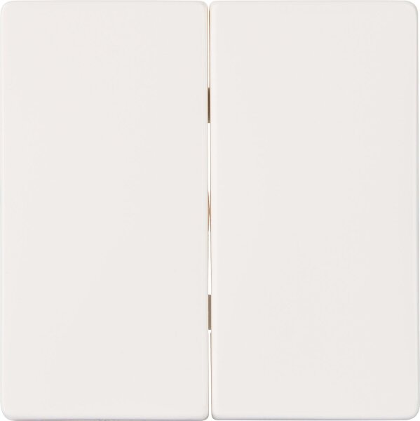 Wippe-2fach neutral titanweiß/ 55 mm x 55 mm Schutzart IP20 / 1 Stück