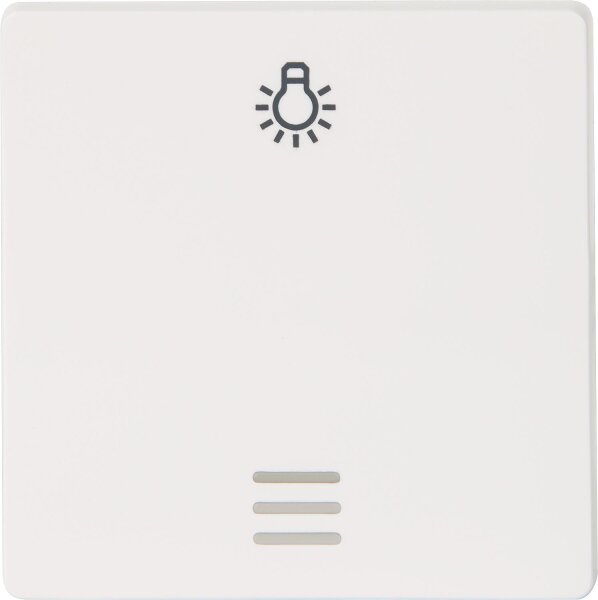 Wippe m. Symbol Licht u. Fenster titanweiß/ 55 mm x 55 mm Schutzart IP20 / 1 Stück