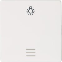 Wippe m. Symbol Licht u. Fenster titanweiß/ 55 mm x...