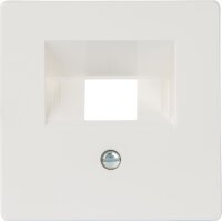 Abdeckplatte f. UAE-Anschlussdose titanweiß...