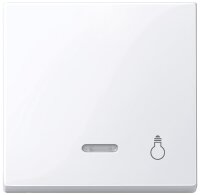 System M, Wippe mit Fenster Merten, Aufdruck Licht,...