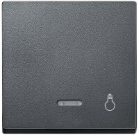 System M, Wippe mit Fenster Merten, Aufdruck Licht, polarweiß glänzend