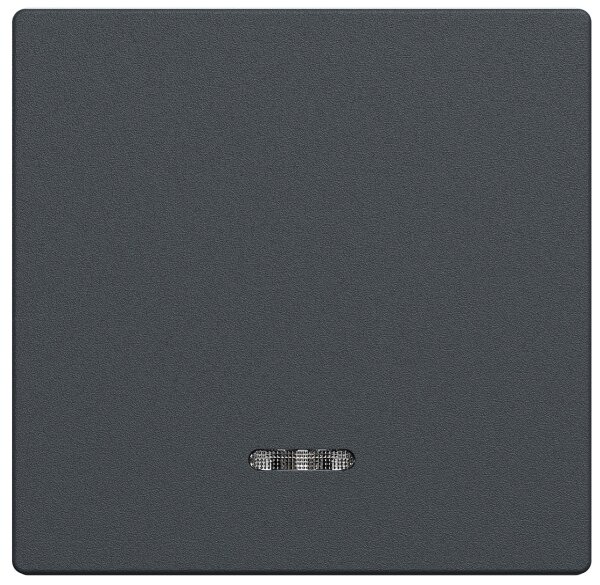 Wippe Merten mit Kontrollfenster, System M, anthrazit, 1 Stück