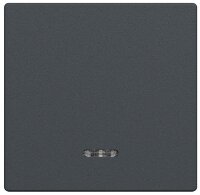 Wippe Merten mit Kontrollfenster, System M, anthrazit, 1...