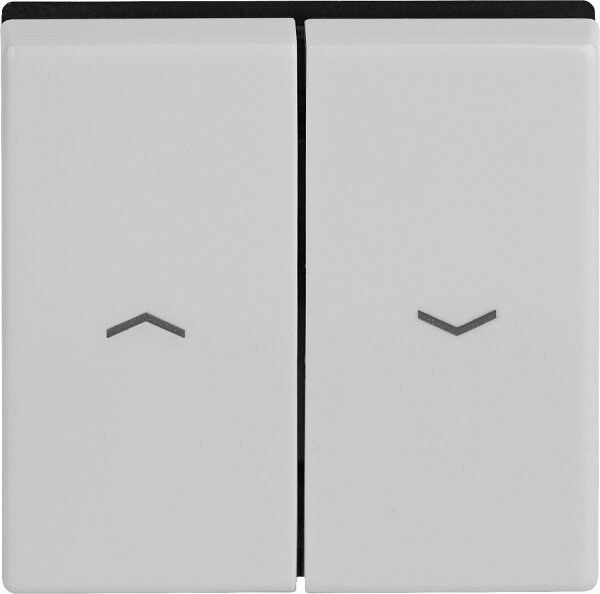 Wippe Jung für Jalousietaster AS591-5PWW W Alpinweiß