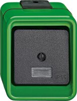 Wipp-Kontrollschalter, Wechsel, grün, AGRAR