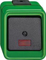Wipptaster, Wechsel, 1-polig, grün, AGRAR