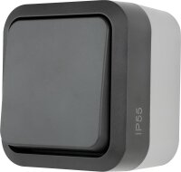 AquaStorm Kreuzschalter AP grau