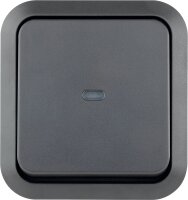 AquaStorm Kontrollschalter mit Glimmlampe AP grau