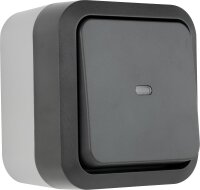 AquaStorm Kontrollschalter mit Glimmlampe AP grau