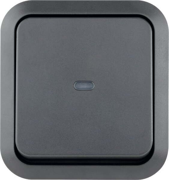 AquaStorm Heizungs-Hauptschalter mit Glimmlampe AP grau