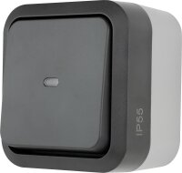 AquaStorm Heizungs-Hauptschalter mit Glimmlampe AP grau