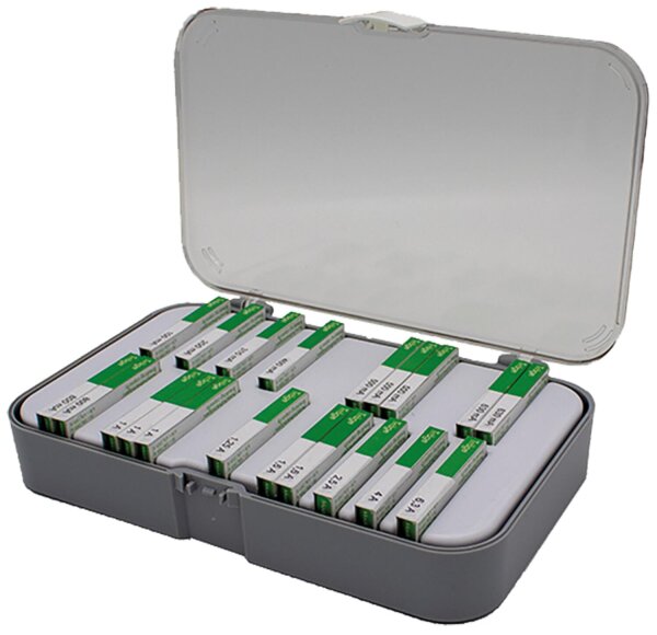 Feinsicherung Sotrimentskasten träge (5 x 20), 200 Stück