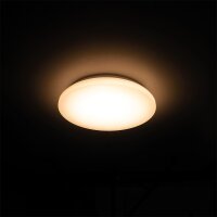 Deckenleuchte 12W 1160lm 3000K IP44 Ø270
