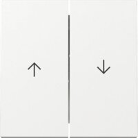 Wippen + Pfeilsymbol GIRA System 55...