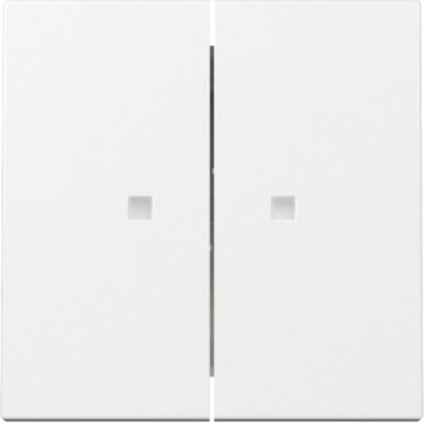 Wippe 2-fach, Kontrollfenster, rws glz, System 55, 363103