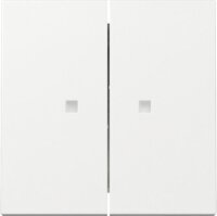 Wippe 2-fach, Kontrollfenster, rws glz, System 55, 363103