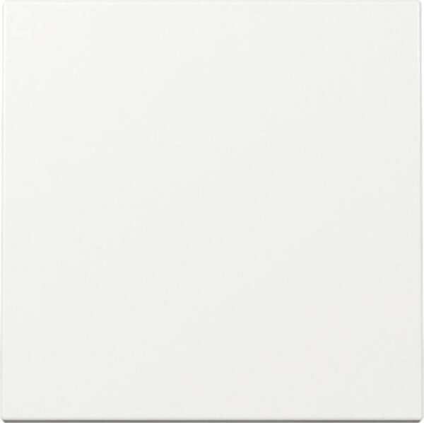 Wippe Schalter und Taster, rws glz, System 55, 329603