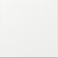 Wippe Schalter und Taster, rws glz, System 55, 329603