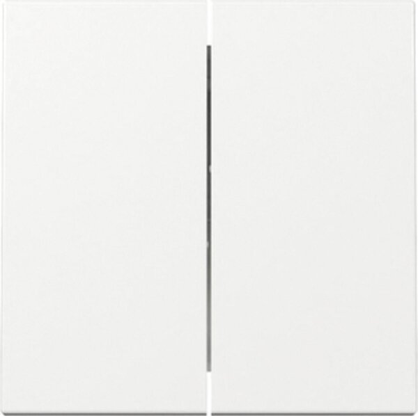 Wippe 2-fach für Serienschalter / Serientaster, rws, glz, System 55, 329503