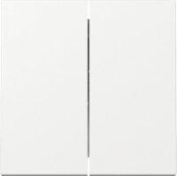 Wippe 2-fach für Serienschalter / Serientaster, rws,...