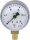Manometer 50 durch 1/8" unten 0-25 bar mit Glyzerinfüllung