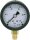 Manometer 50 durch 1/8" unten 0-25 bar mit Glyzerinfüllung