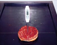 Einsteck-Thermometer -40°C bis +200°C