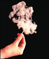 Rauchhölzer Splintax VPE = 25 Stück in Schraubdose