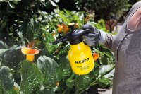 Drucksprüher Mesto Bugsi 360 Grad, 3132, 1,5 Liter