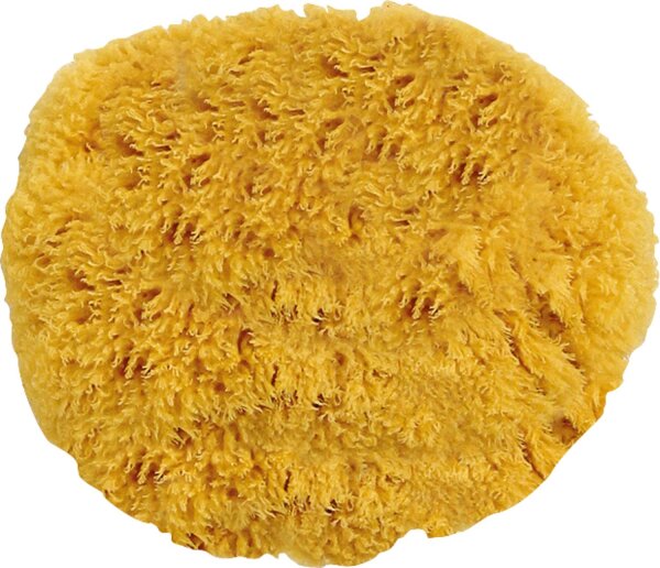 Naturschwamm ca. 140 mm