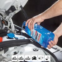 Winterscheibenreiniger SONAX AntiFrost + KlarSicht gebrauchsfertig bis -20°C Citrus 5l Kanister mit Ausgießer