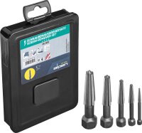 Schraubenausdreherset ALPEN 5-teilig M5-M20 in...