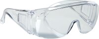 Kunststoffbrille "Panorama"