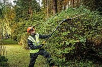 Akku-Stabheckenschere DeWALT DCMPH566N-XJ, 18V ohne Akku und Ladegerät