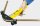 REMS Swing-Set Einhand-Rohrbiegegerät 14-16-18-20-25/26 mm