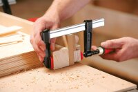 Temperguss-Schraubzwinge mit Holzgriff 100x50mm Typ TPN10BE