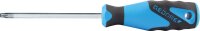 TORX Plus® Schraubendreher GEDORE 10IPx80...