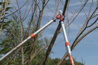 Teleskop-Astschere BAHCO PG-19-F 700-900mm lang, 1135g...